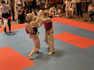 IMG_0092.jpg