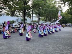 IMG_0726.jpg