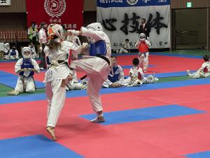 IMG_0833.jpg
