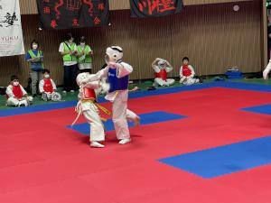 IMG_0840.jpg
