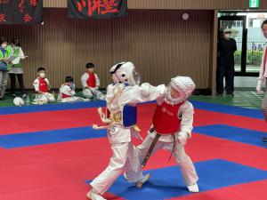 IMG_0849.jpg