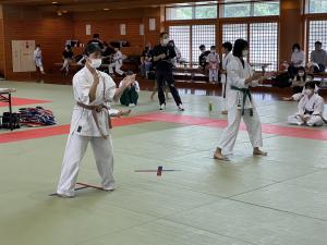 IMG_1184.jpg