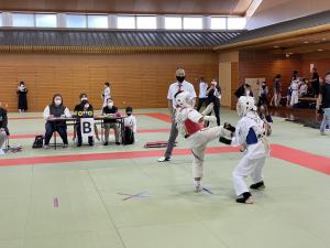 IMG_1203.jpg