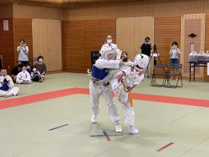 IMG_1226.jpg