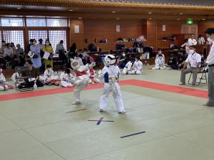 IMG_1232.jpg