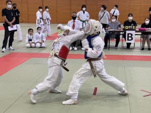 IMG_1234.jpg
