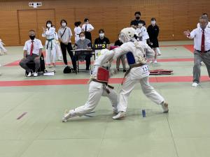 IMG_1238.jpg