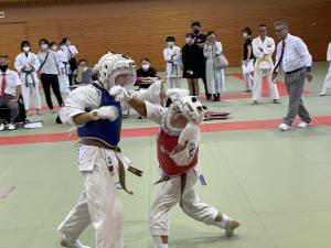 IMG_1241.jpg