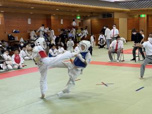 IMG_1244.jpg