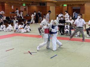 IMG_1254.jpg