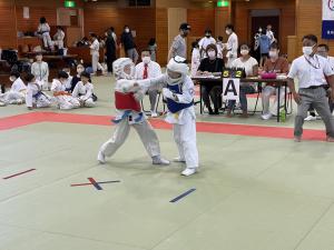 IMG_1255.jpg