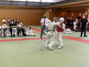 IMG_1291.jpg