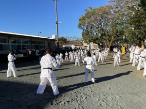 IMG_3799.jpg