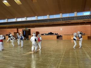 IMG_5950.jpg