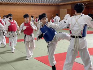 IMG_1543.JPG
