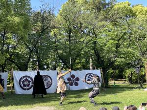 IMG_3386.JPG