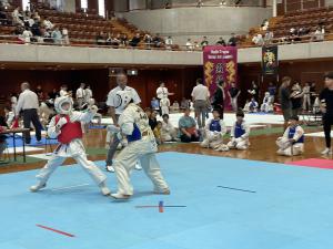 IMG_4266.JPG