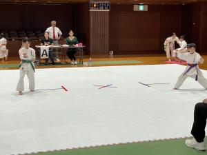 IMG_6570.JPG