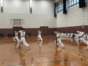 IMG_7377.JPG