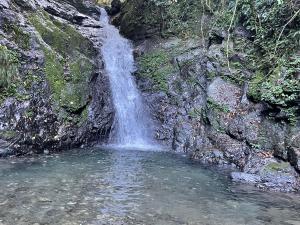 IMG_7586.JPG