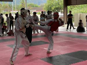 IMG_8453.JPG