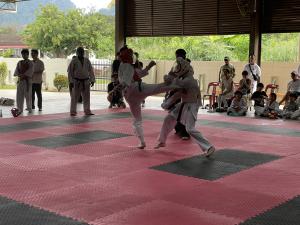 IMG_8460.JPG