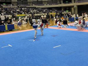 IMG_0240.JPG