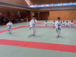 IMG_1663.JPG