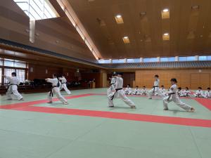 IMG_1675.JPG