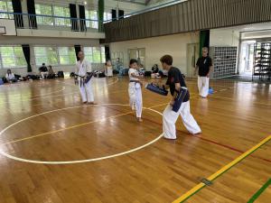 IMG_2504.JPG