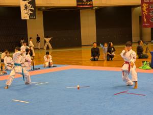 IMG_6330.JPG