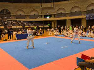 IMG_6338.JPG