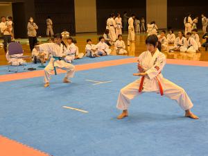 IMG_6370.JPG
