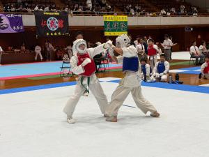 IMG_8239.JPG