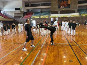 IMG_8587.JPG