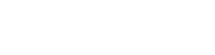 日本武術空手道　　士学館・館長　　桃井　敏行